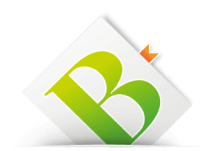 Bernecker Logo